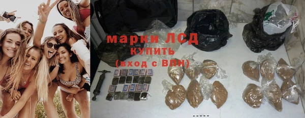 прущие грибы Абдулино
