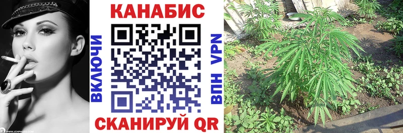 hydra ТОР  цена   Судогда  Конопля MAZAR 
